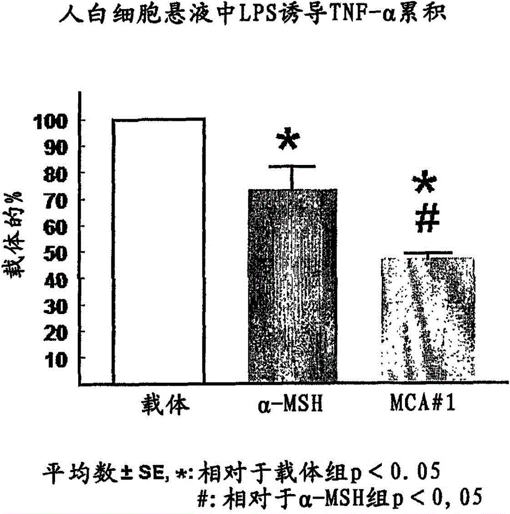 Therapeutically active α-msh analogs