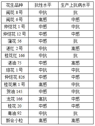 Inoculation identification method for peanut bacterial wilt in field initial flowering stage