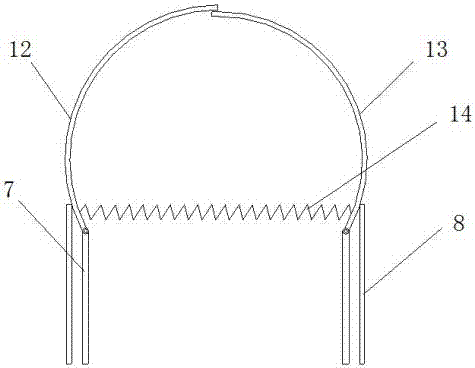 Plant leaf spraying device