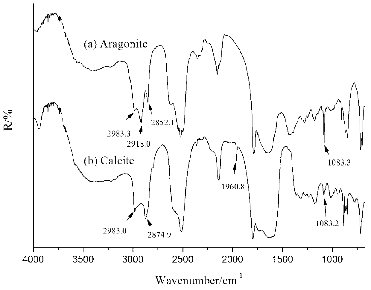 Micro infrared reflection spectrum identification method of pearl powder and shell powder