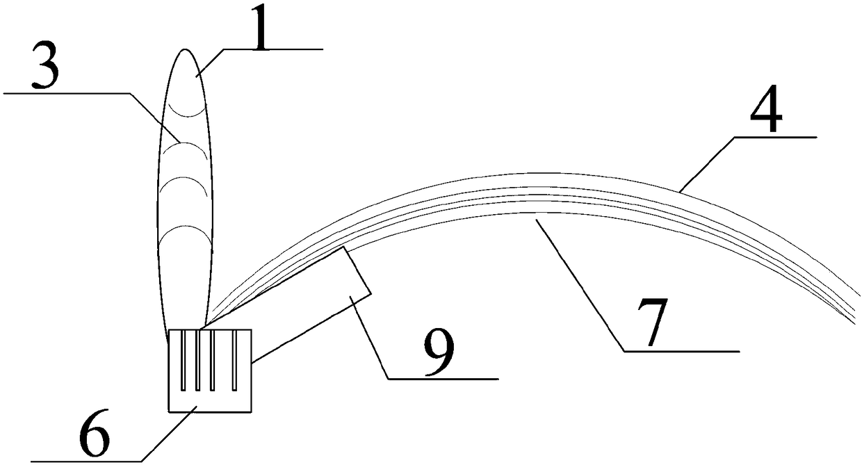 Wig fixing device