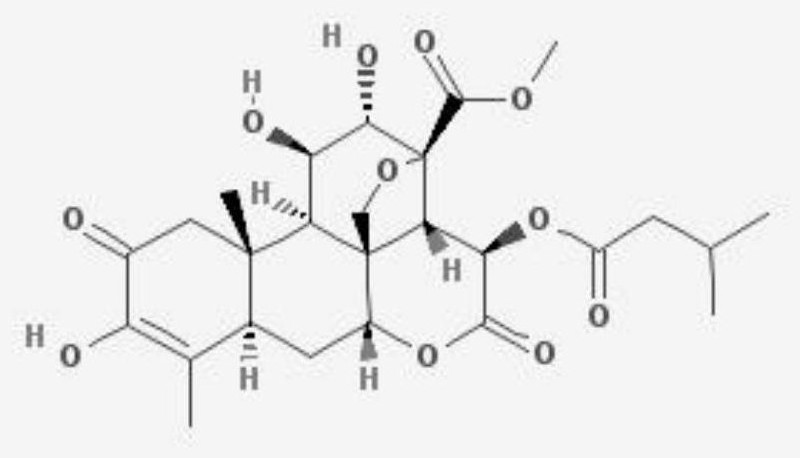 Application of brucetin a in the preparation of drugs for preventing and treating osteoporosis