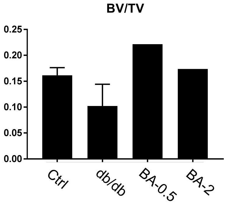 Application of brucetin a in the preparation of drugs for preventing and treating osteoporosis