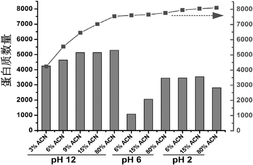 Protein chromatographic separation platform and application thereof