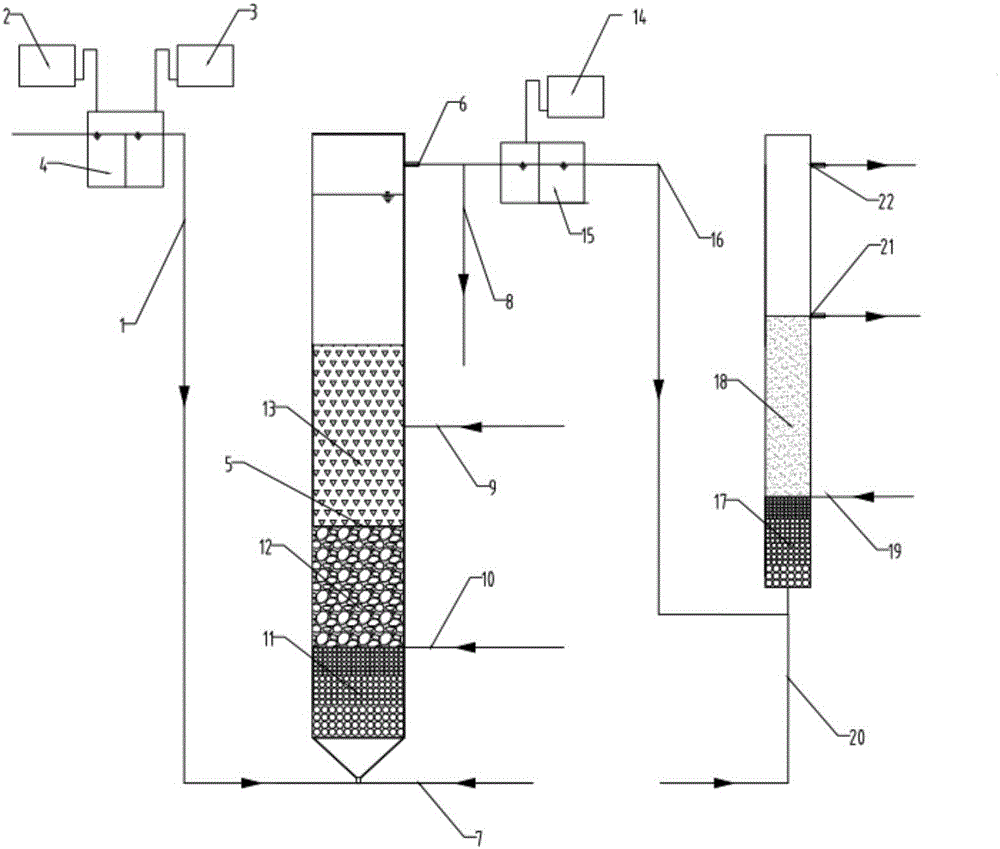 Nitrogen and phosphorus removal system for treating circulating cooling discharge water of power plant