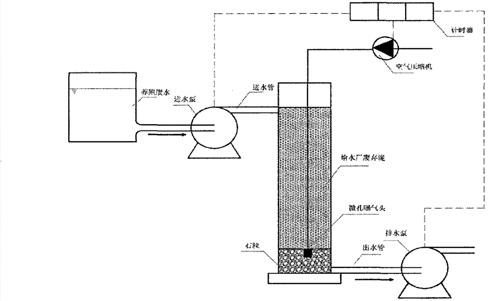 Method for treating wastewater from livestock and poultry breeding by constructing vertical flow artificial wetland based on water supply plant sludge