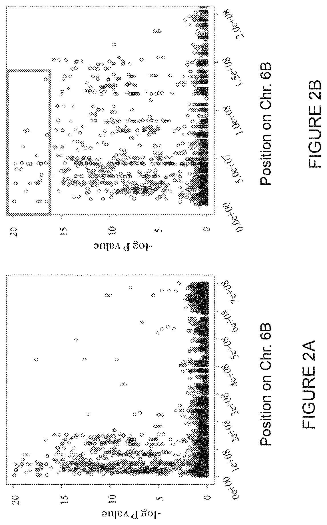 Compositions and methods conferring resistance to rust diseases