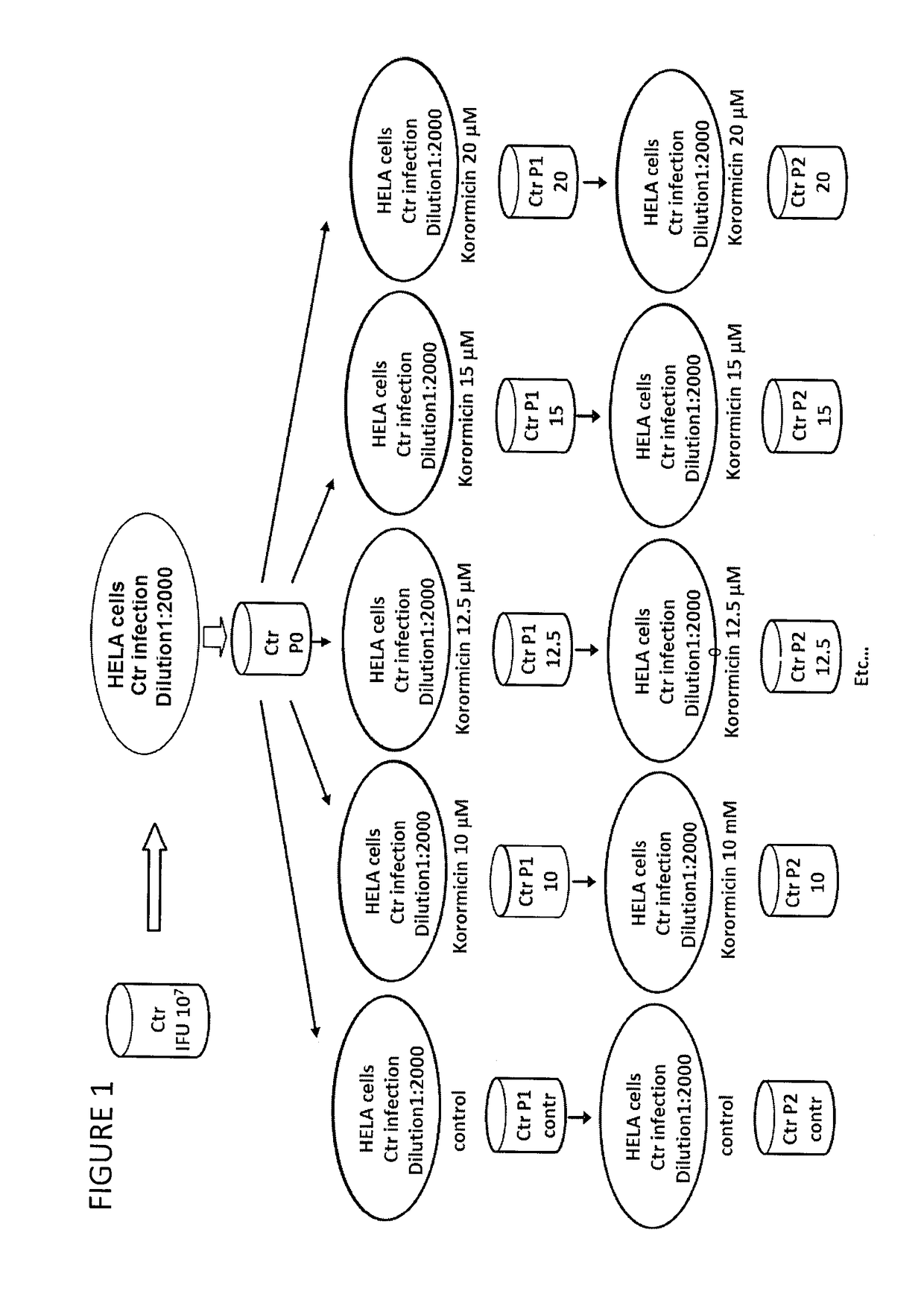 Derivatives of korormicin useful as antibiotics