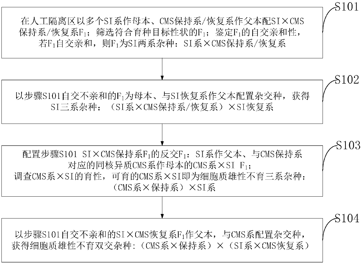 Method for breeding hybrid cabbage type rape through composite pollination system