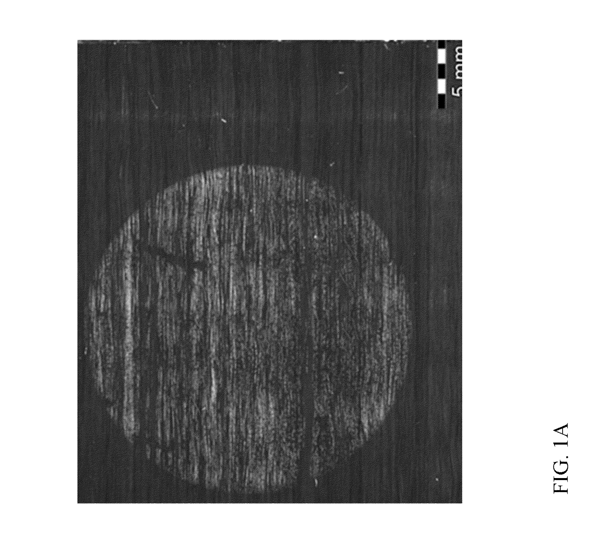 Process for selective isolation of CFRP parts by electrodeposition coatings