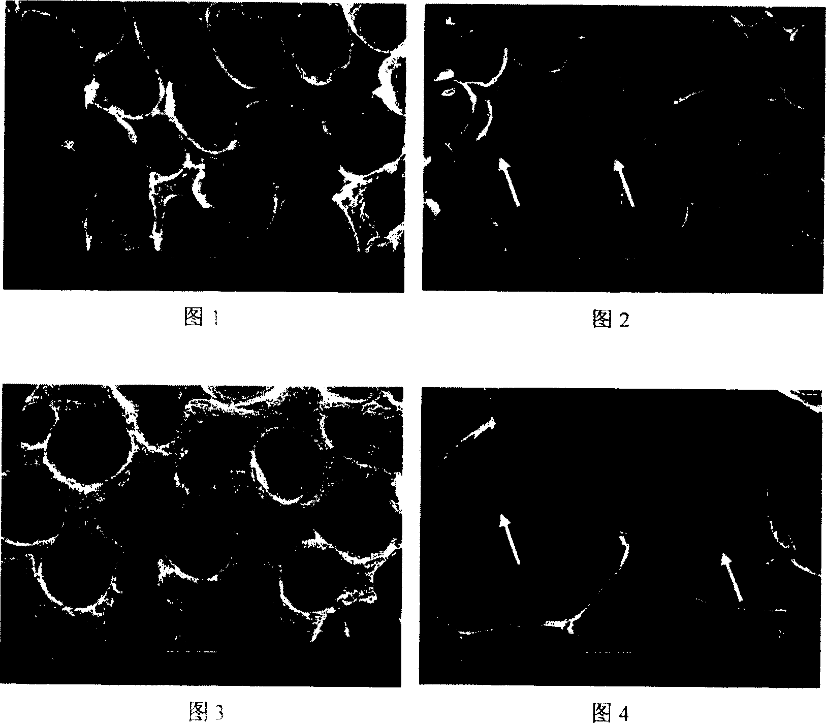 Technical method and schedule for preparation of foam carbon material used asphalt as raw material