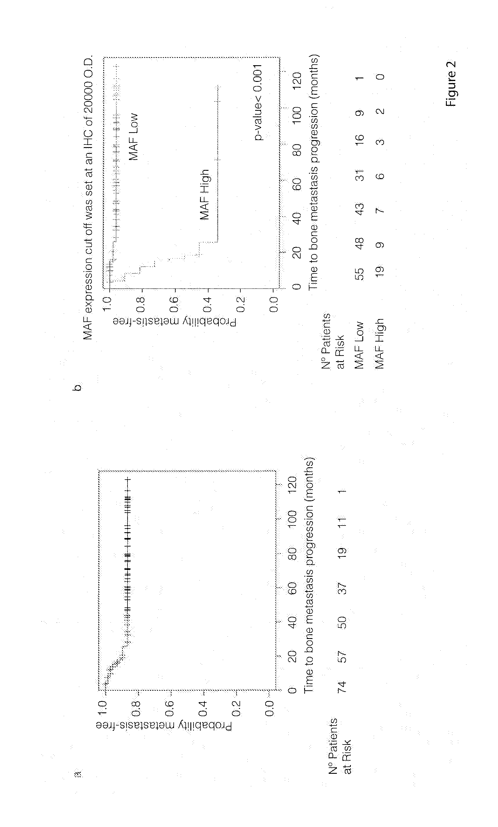 Method for the diagnosis, prognosis and treatment of lung cancer metastasis