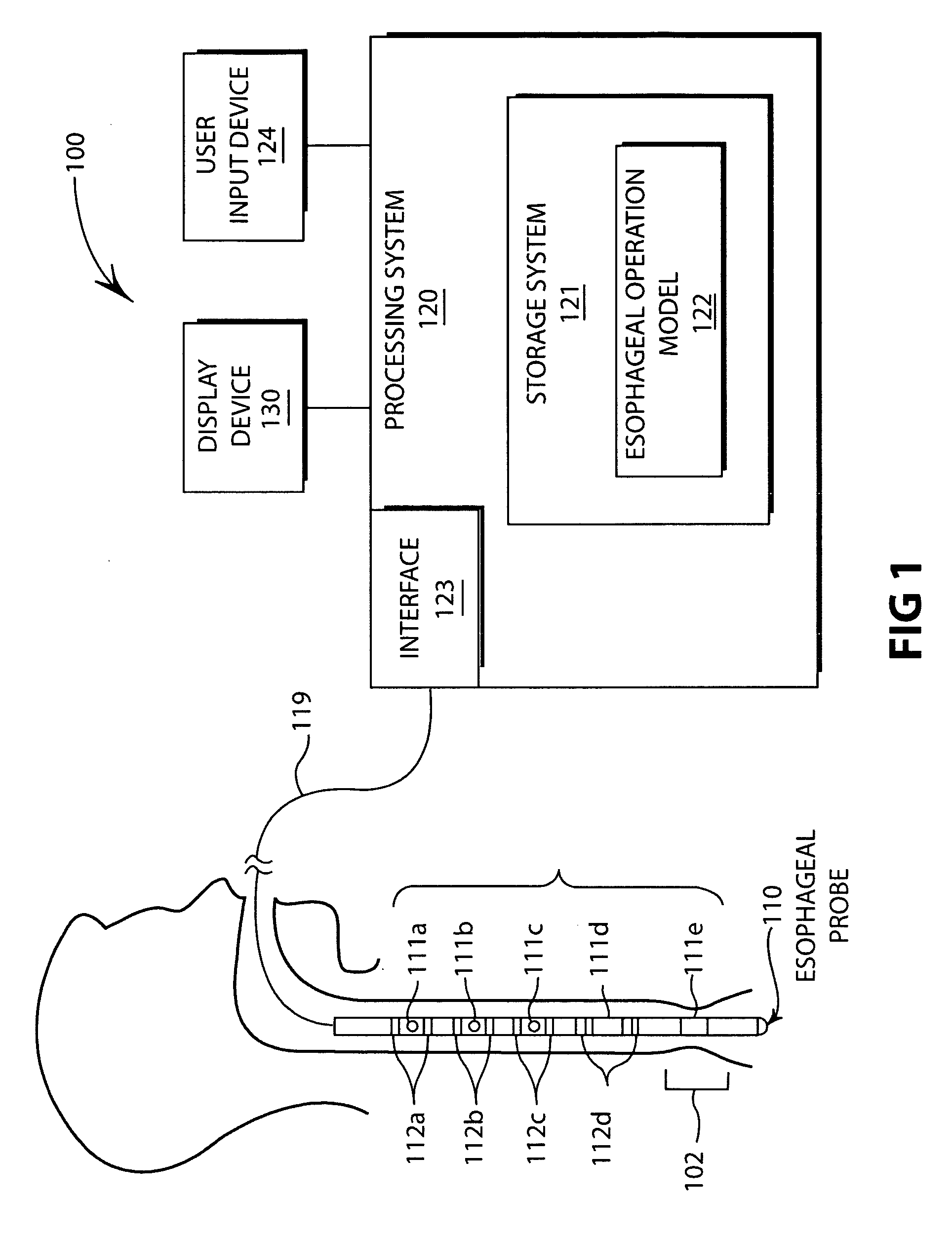 Esophageal function display and playback system and method for displaying esophageal function