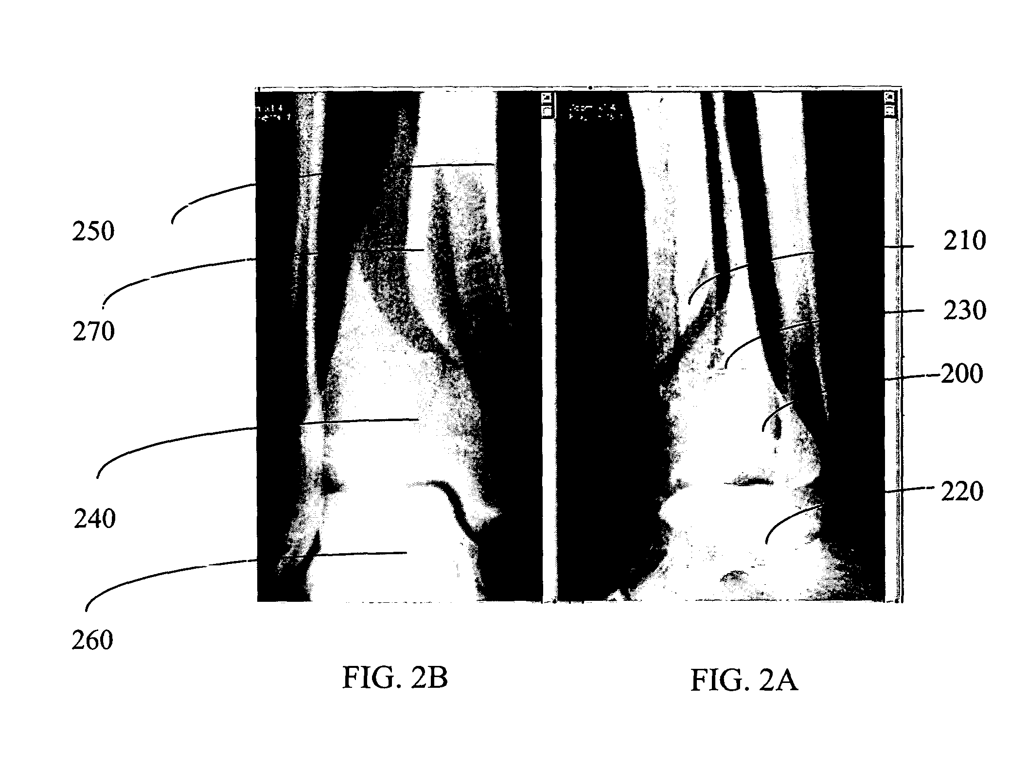 Pre-operative medical planning system and method for use thereof