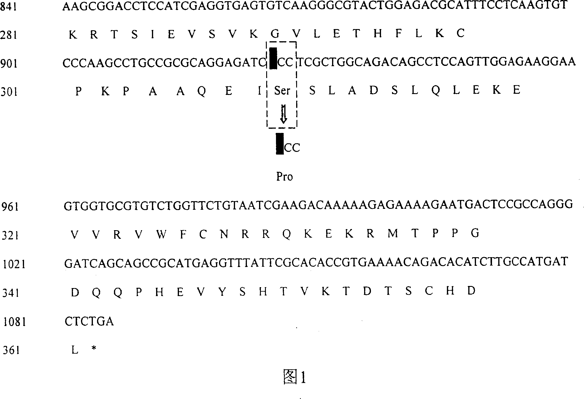 Deaf-related gene mutation and its detecting method