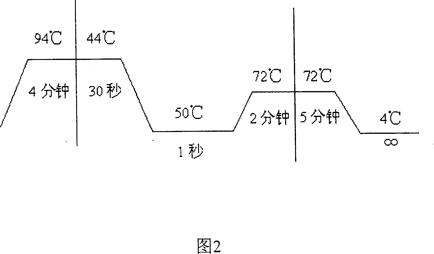 Deaf-related gene mutation and its detecting method