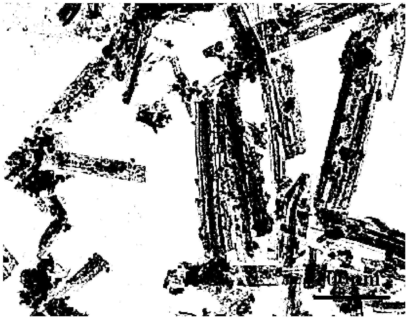 Attapulgite-perovskite composite material, preparation method and application thereof