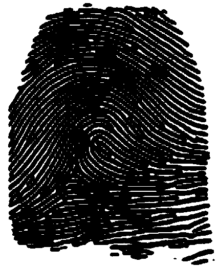 Fingerprint recognition method and fingerprint recognition device