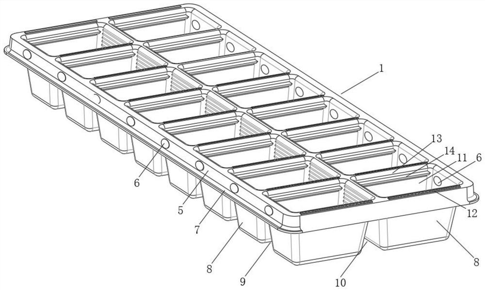 A molded tray and its production process