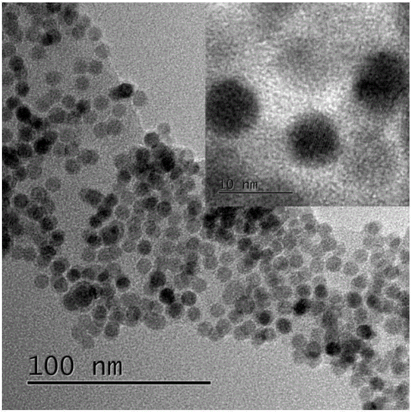 Method for preparing monodispersed superparamagnetic iron oxide nanoparticles by pyrolysis of ferrocene