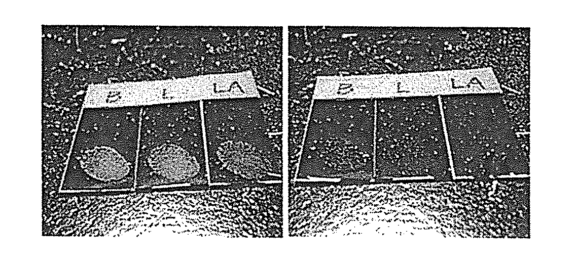 Lipase-containing polymeric coatings for the facilitated removal of fingerprints