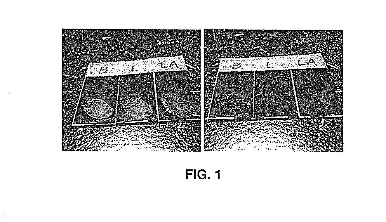 Lipase-containing polymeric coatings for the facilitated removal of fingerprints