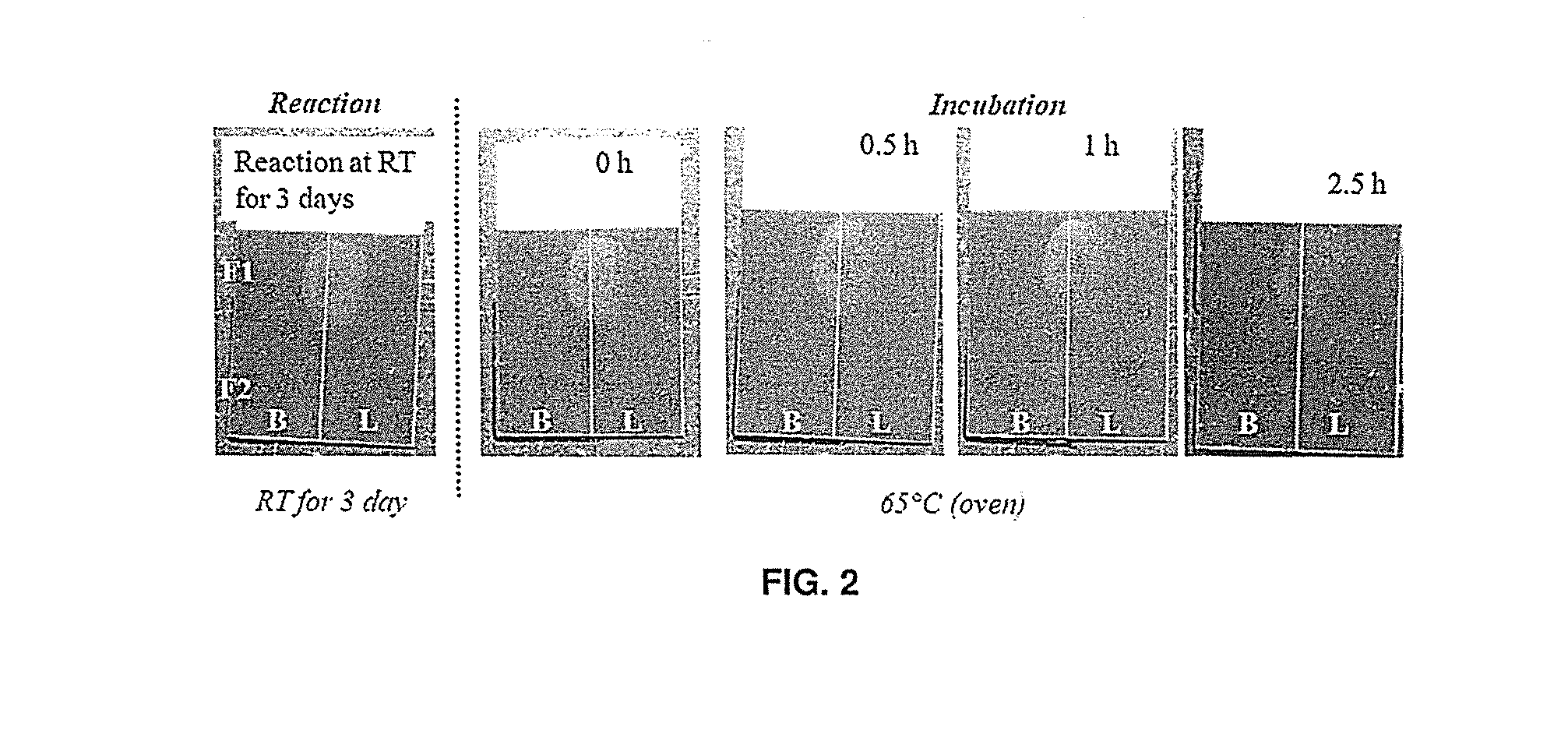 Lipase-containing polymeric coatings for the facilitated removal of fingerprints