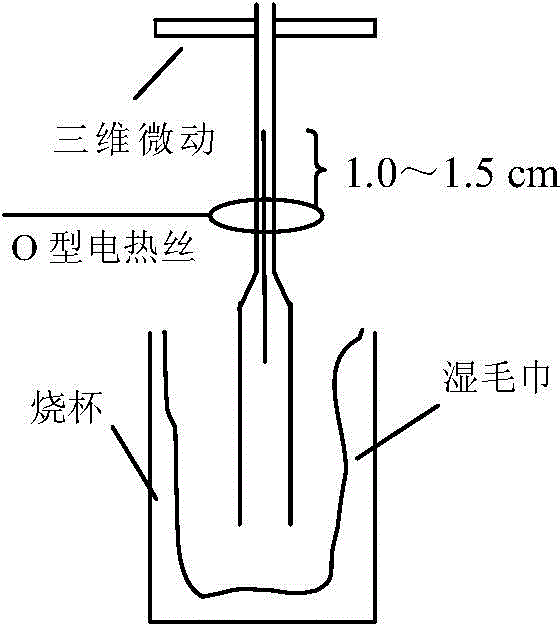 Coaxial compound oxygen microelectrode and preparation method thereof