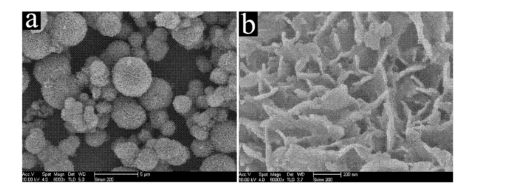 Ferroferric oxide porous ball having micro-nano structure, and preparation method of ferroferric oxide porous ball