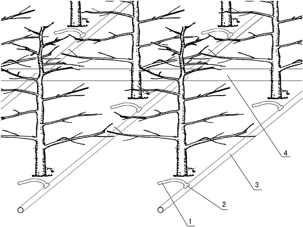 Arrangement composition of orchard pipe outflor irrigation system terminal