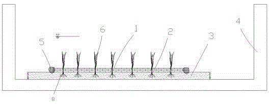 Submerged plant artificial turf cultivation system and cultivation transplanting method