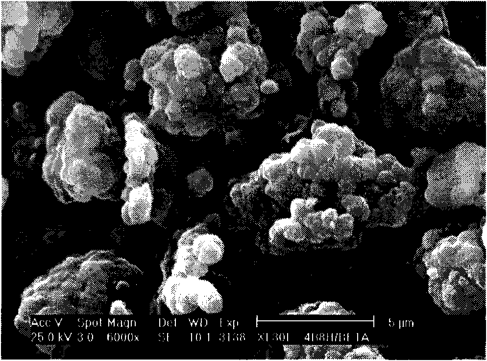 Preparation method of non-binder ZSM-5/zeolite beta coexisting molecular sieve catalyst