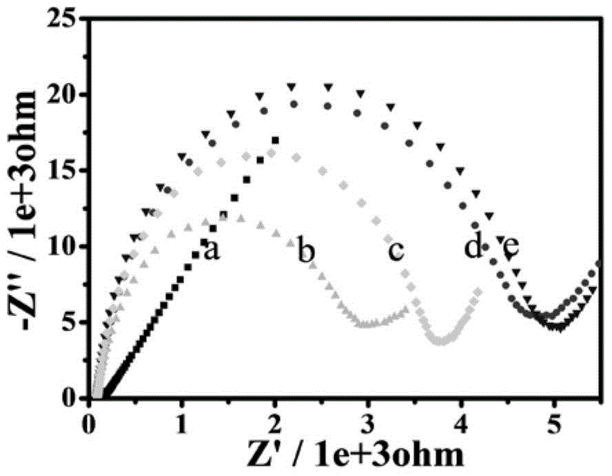 An electrochemical biosensor, its preparation method, application and detection method