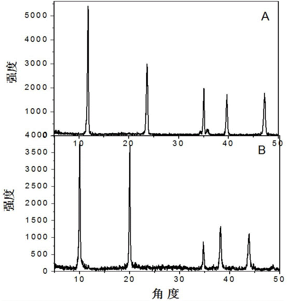 Fluorescent sensor for determining serum protein concentration and manufacturing method thereof