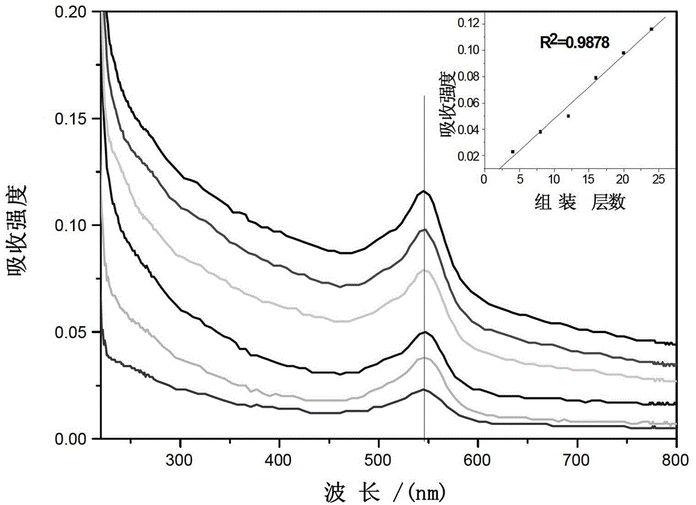 Fluorescent sensor for determining serum protein concentration and manufacturing method thereof