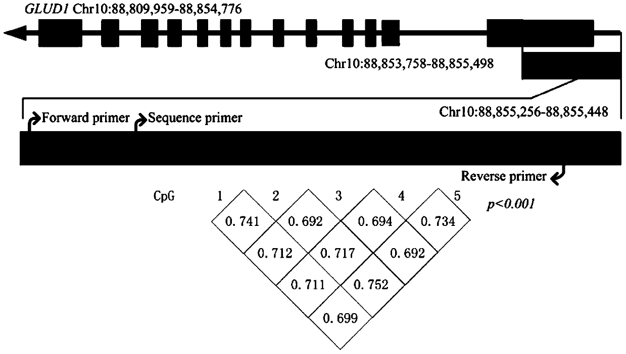 Kit for detecting the degree of methylation in the promoter region of the glud1 gene associated with type 2 diabetes and its application