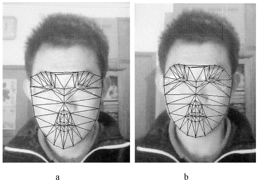Face Tracking Method Based on Incremental Principal Component Analysis Based on Feature and Model Mutual Matching