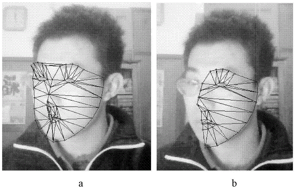 Face Tracking Method Based on Incremental Principal Component Analysis Based on Feature and Model Mutual Matching