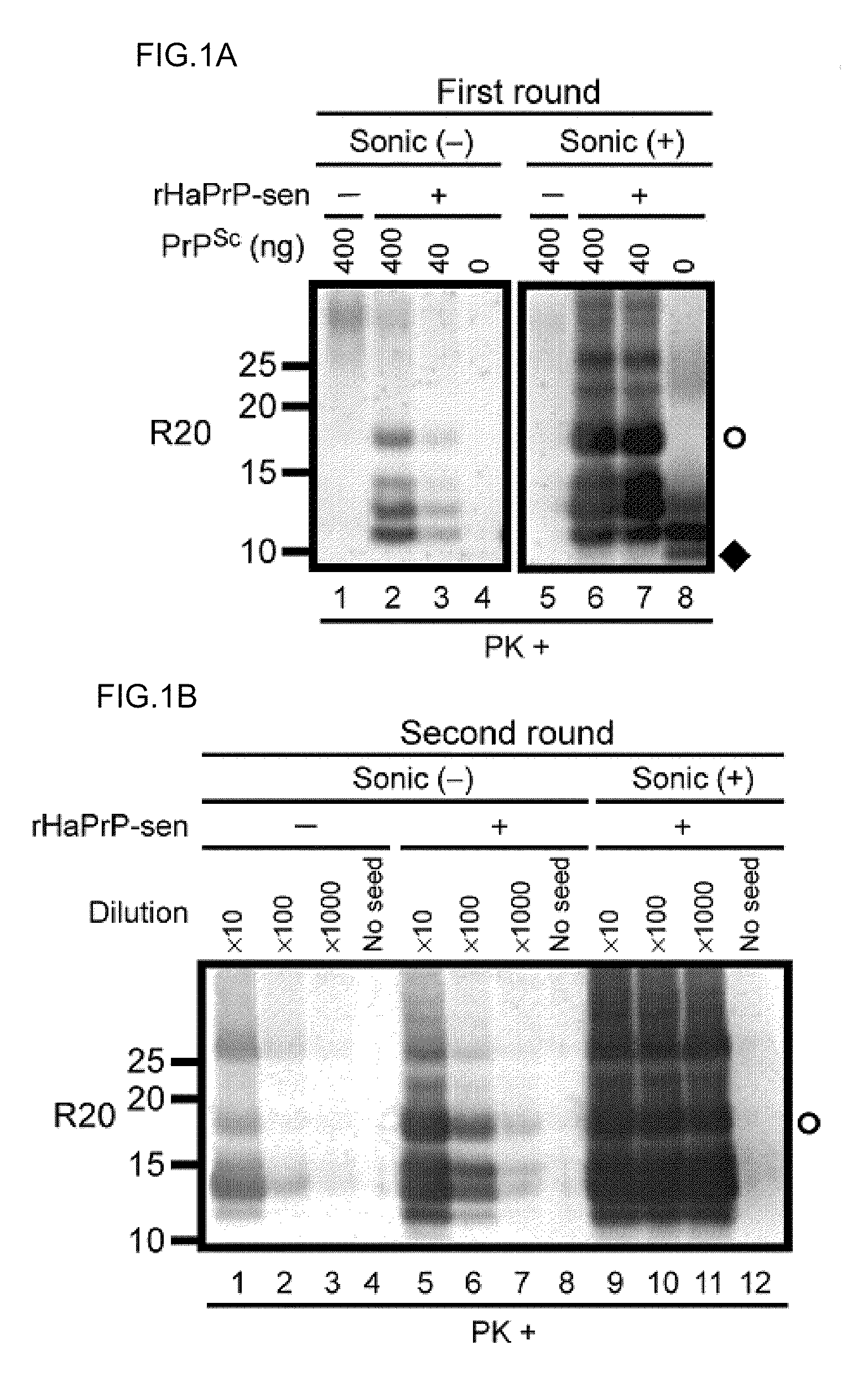 Detection of infectious prion protein by seeded conversion of recombinant prion protein