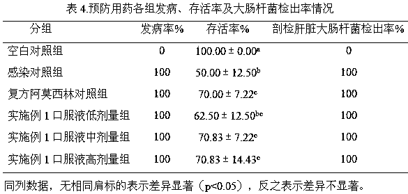 Traditional Chinese medicine composition for preventing and treating chicken colibacillosis and preparation method thereof