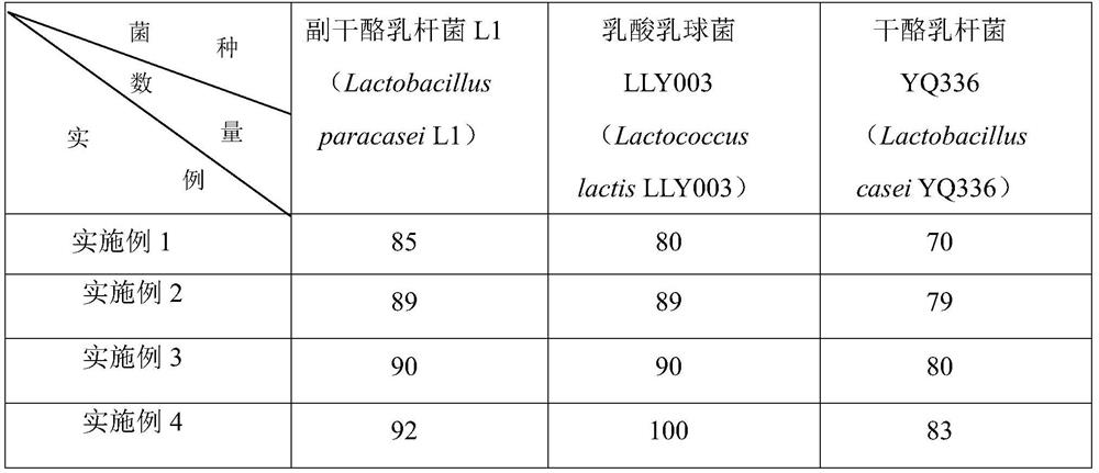 A method for rapidly fermenting corn juice beverage by lactic acid bacteria composition