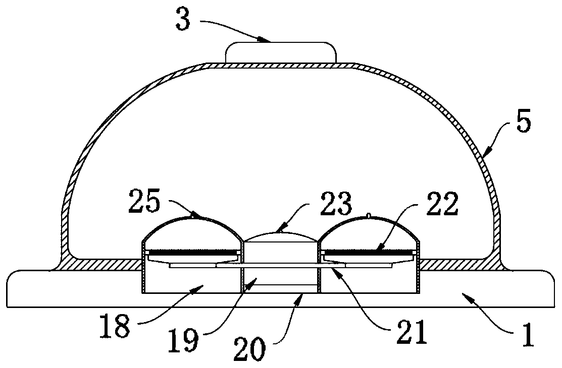 Ankle arthritis ultrasonic nursing device with fumigation function