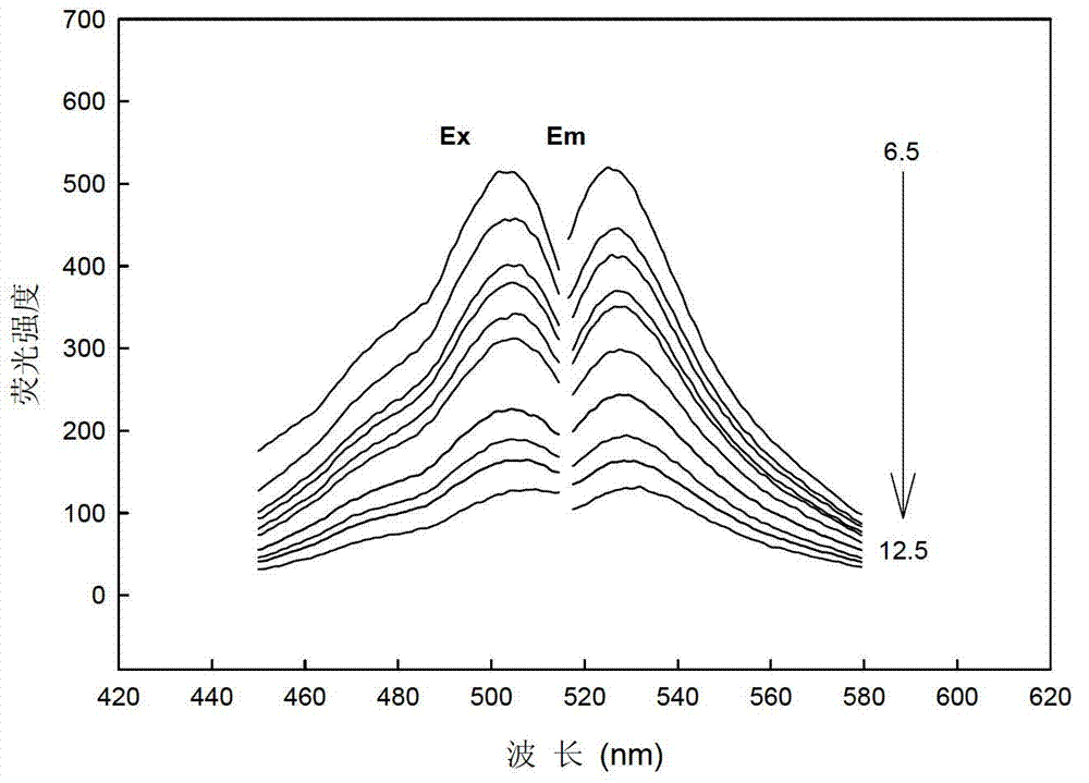 pH fluorescent sensor based on allyl calcein and preparation method thereof