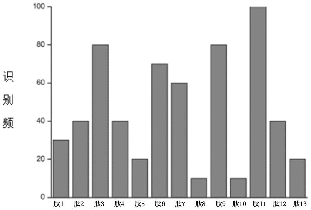 Epitope peptide of tropomyosin antigen, and application of epitope peptide