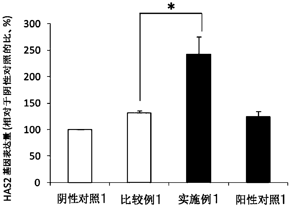 Composition for promoting production of hyaluronic acid