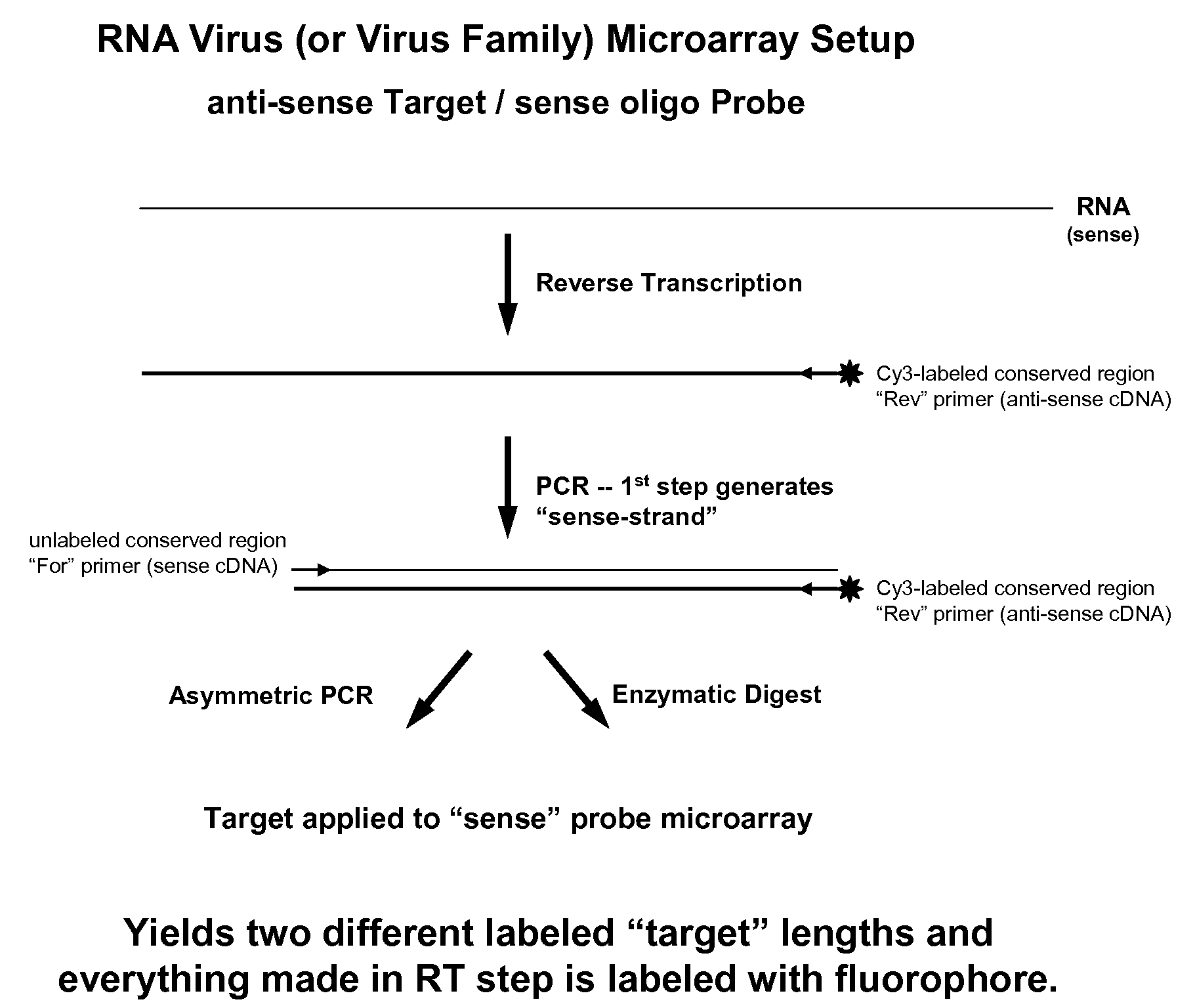 Microarray system with improved sequence specificity