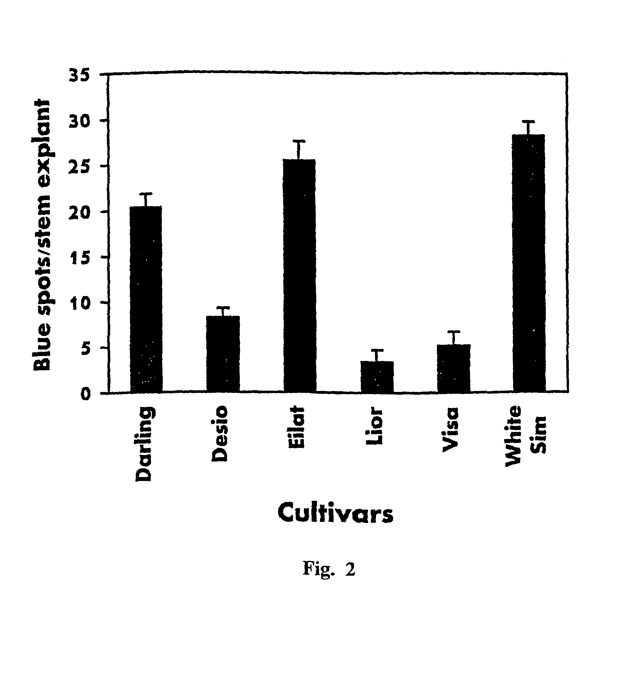 Transgenic plants and method for transforming carnations