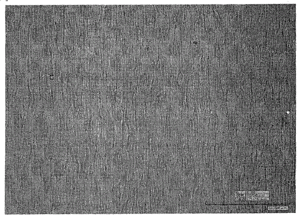 Sheet having uneven pattern formed thereon and method for production thereof