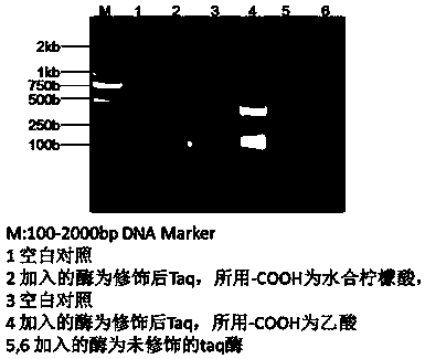 Chemical modification method of DNA (Deoxyribonucleic Acid) polymerase