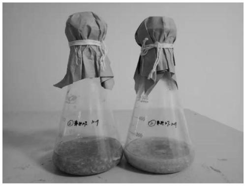 Preparation method of biological pigment by double-strain fermentation with wastewater rich in amino acids as base material